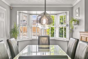 Photo 11- click for photo gallery